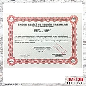 Hisse Senedi Basımı